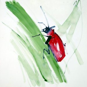 Arnold Kreuter, Lilienhähnchen, 60x60cm gerahmt, Acryl auf Leinwand