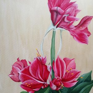 Ursula Illgner, Amaryllis, 70x50 cm, Acryl auf Leinwand