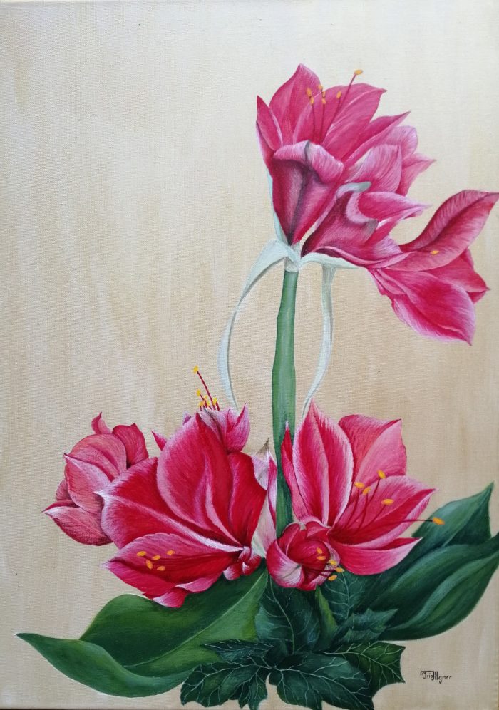 Ursula Illgner, Amaryllis, 70x50 cm, Acryl auf Leinwand