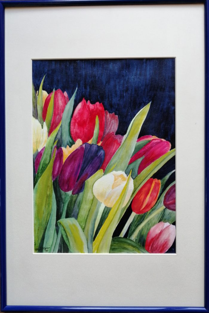 Ursula Illgner, Tulpen, 60x40 cm, Aquarell, gerahmt,